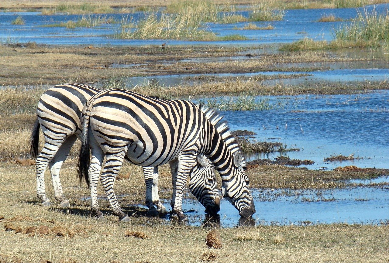 Botswana Gallery Images