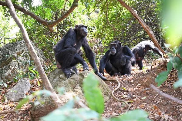 Burundi Gallery Images