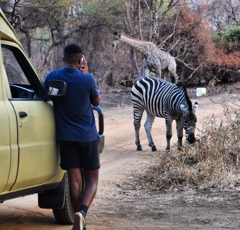 Safari Vendors