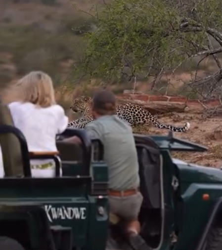 Safari Vendors