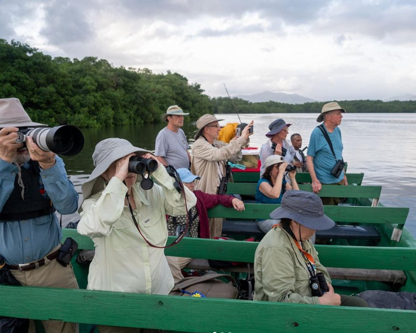 Safari Vendors