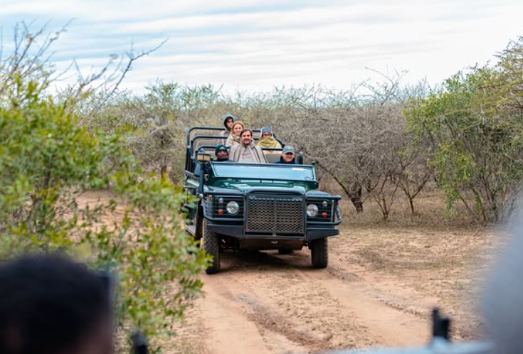 Safari Vendors