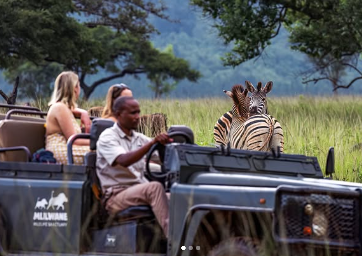 Safari Vendors