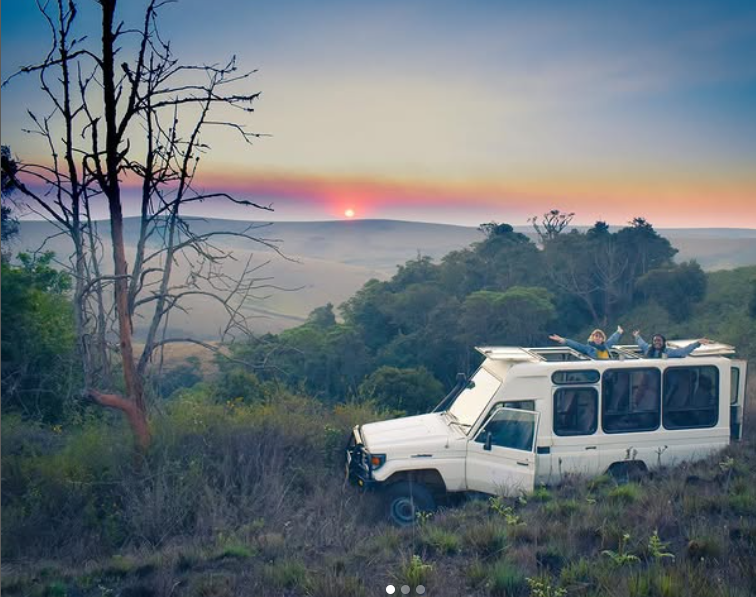 Safari Vendors