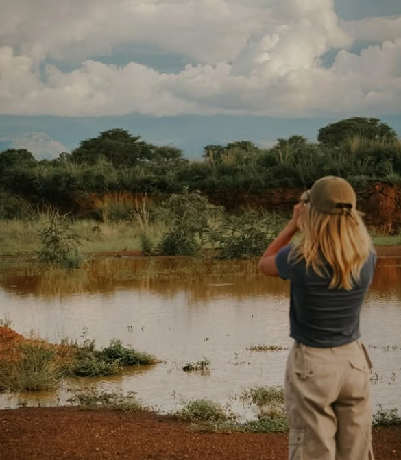 Safari Vendors