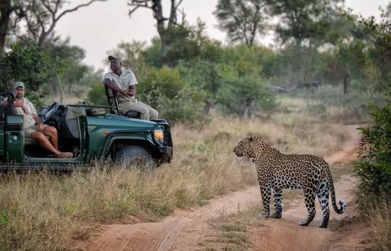 Safari Vendors