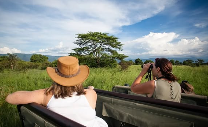 Safari Vendors