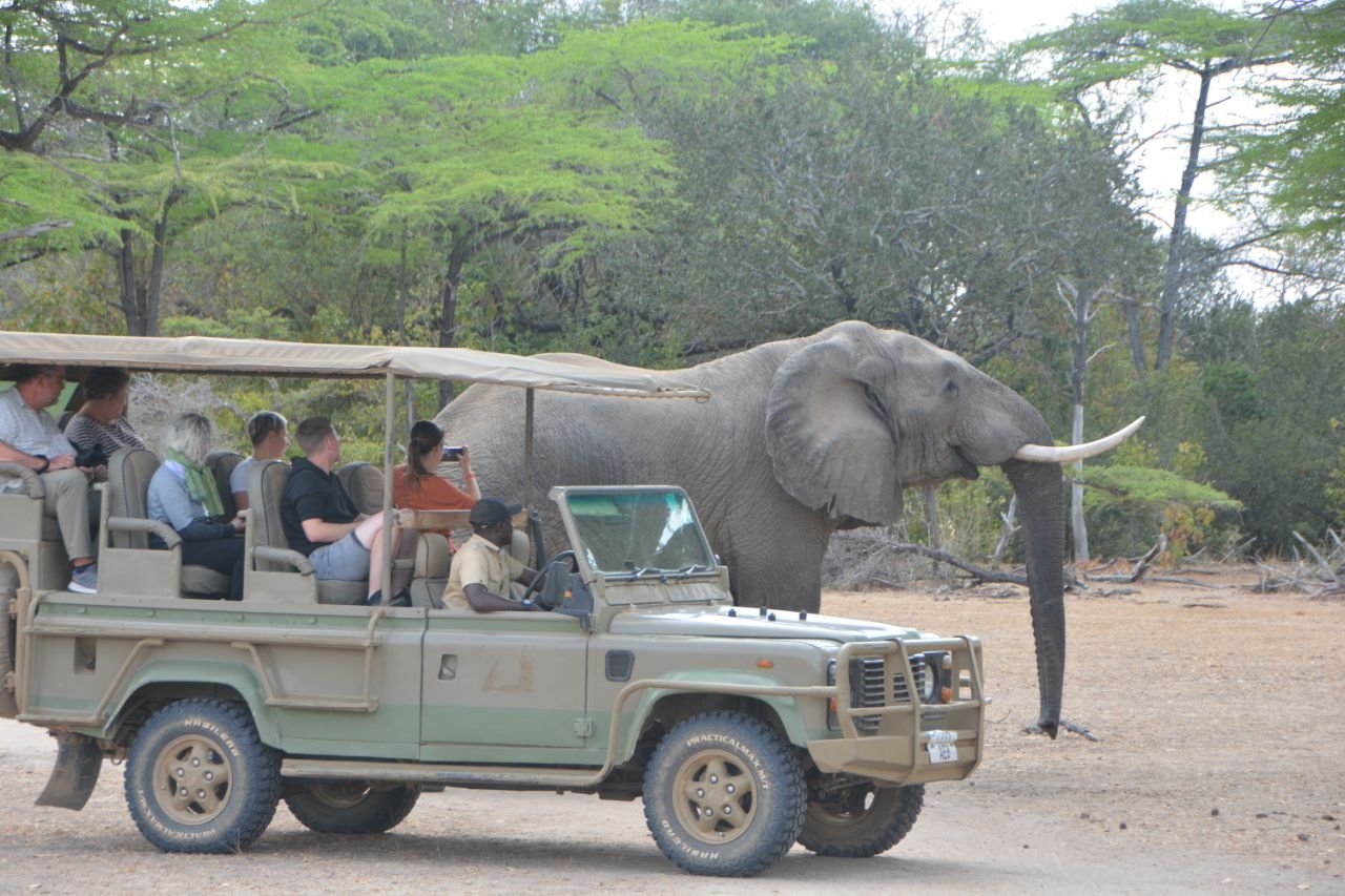 Tanzania Gallery Images