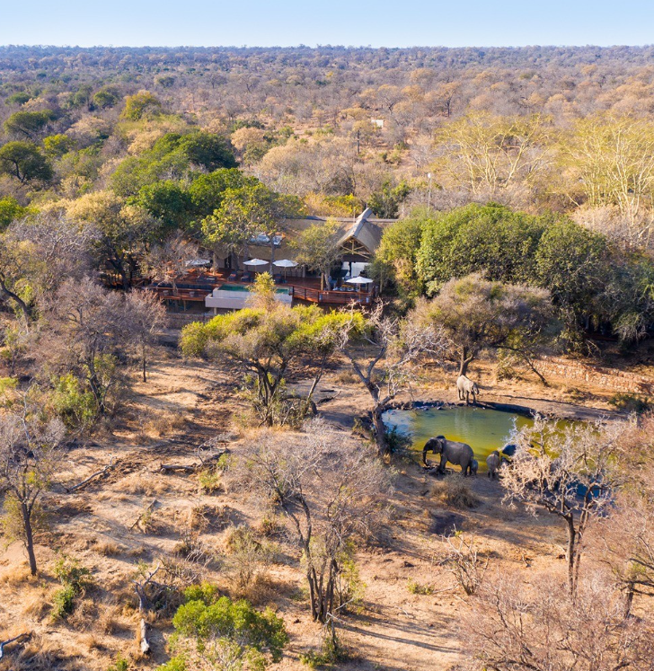 Safari Vendors