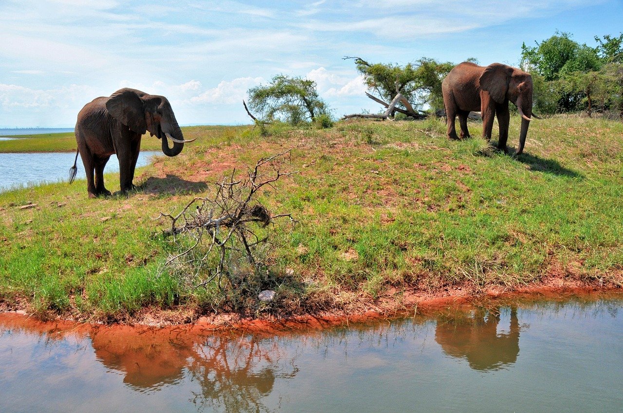 Zimbabwe Gallery Images