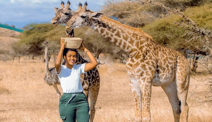 Safari Vendors