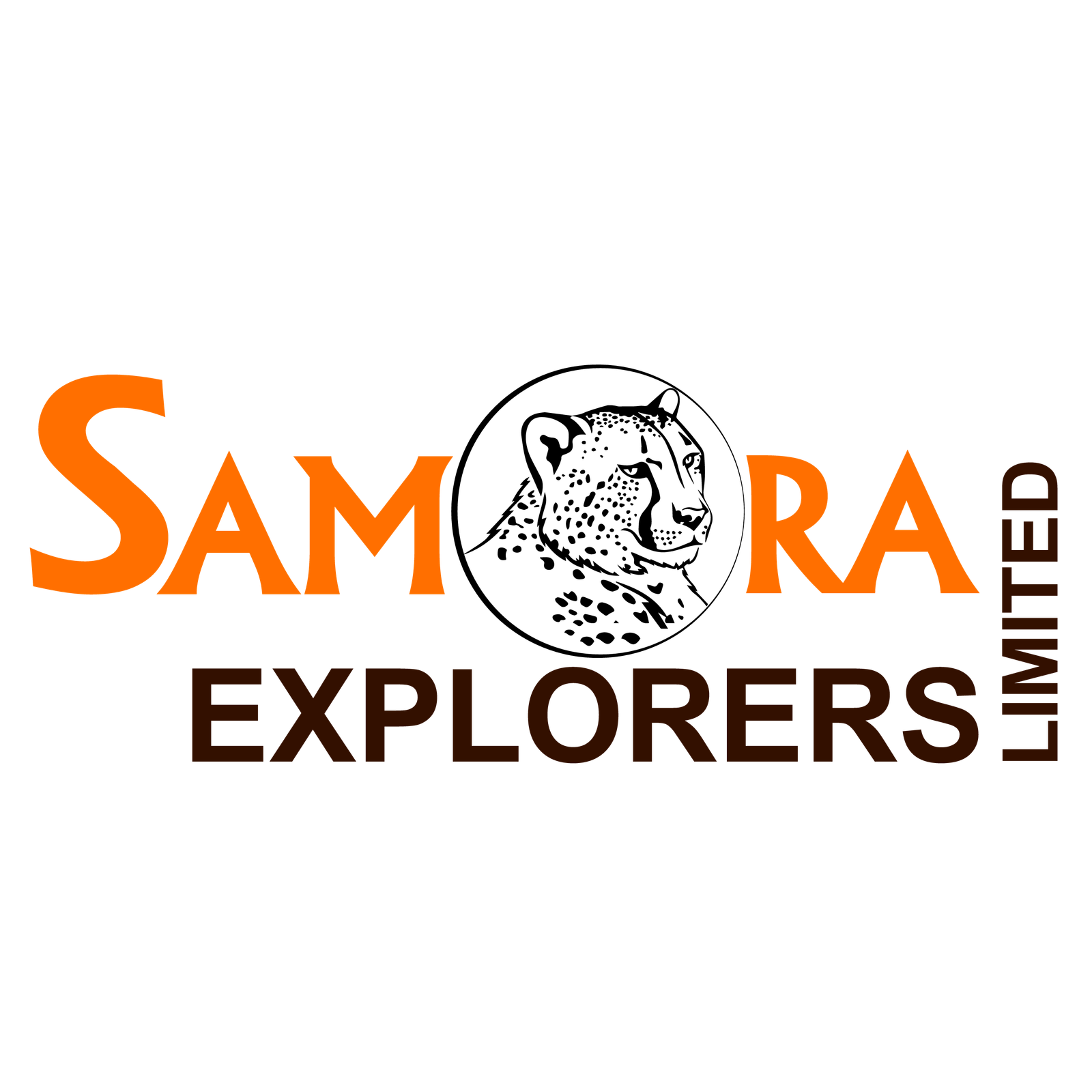 Safari Vendors