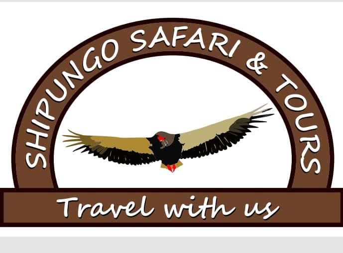 Shipungo Safari & Tours