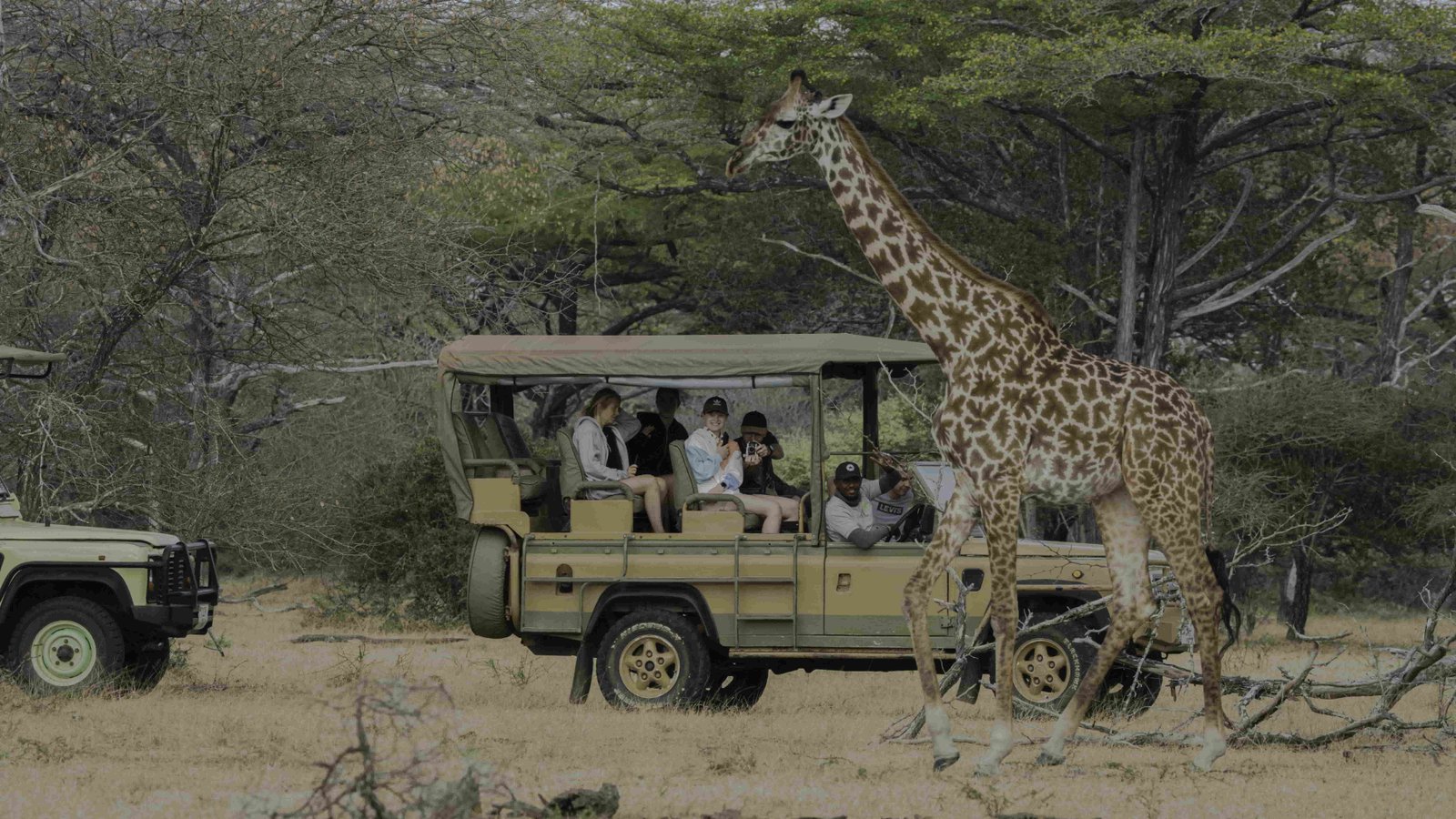 Uwanda Tours And Safaris Cover Image