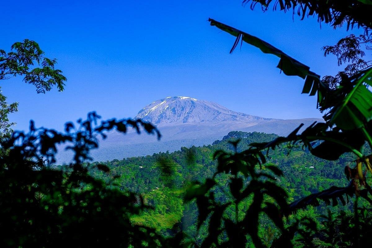Kiliclimb Africa Safaris