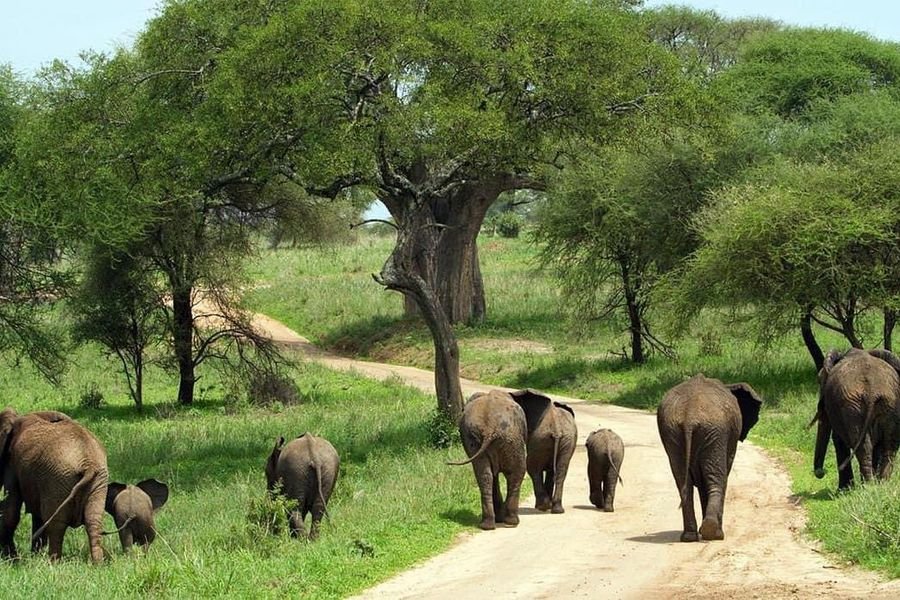 Golden Trips Tanzania