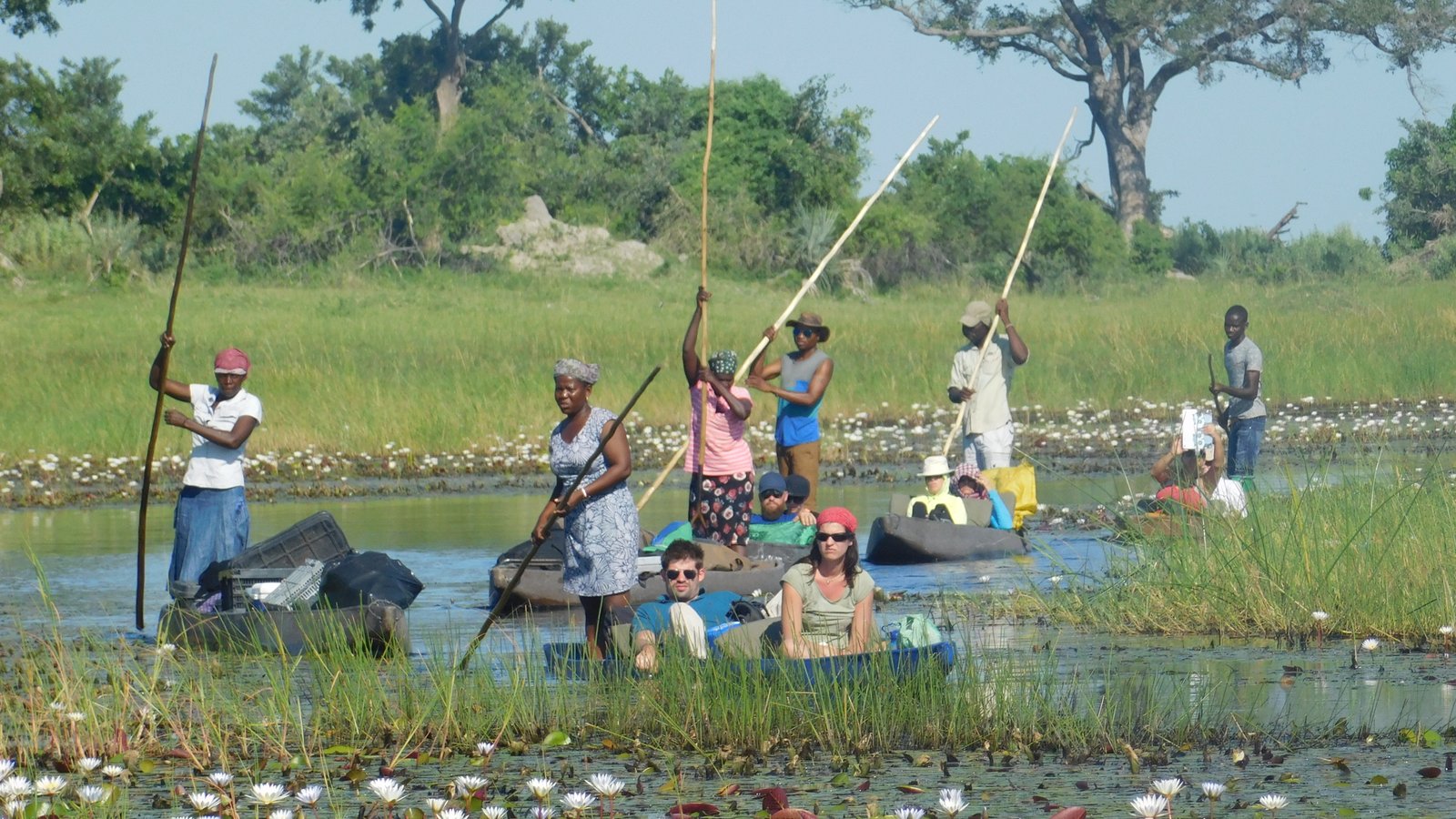 Safari Vendors