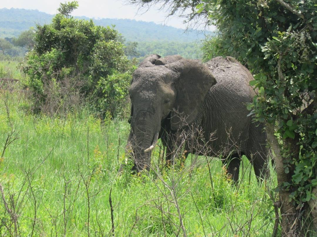Golden Trips Tanzania