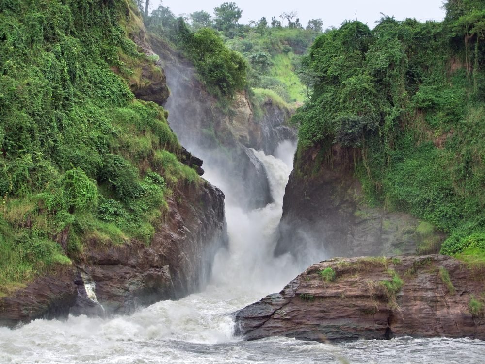 Henry Tours And Safaris Ltd