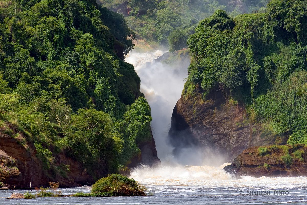Henry Tours And Safaris Ltd