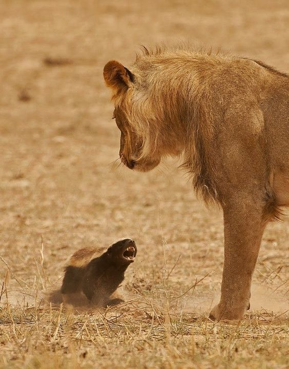 Golden Trips Tanzania