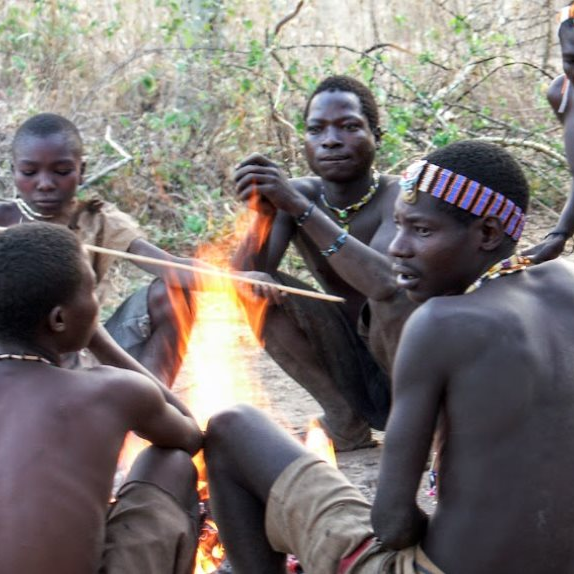 Safari Vendors