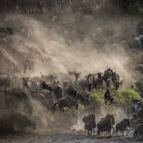 Kiliclimb Africa Safaris