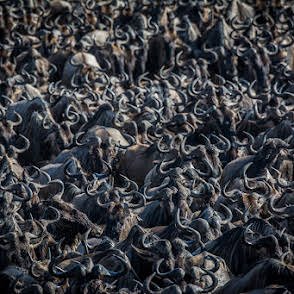 Kiliclimb Africa Safaris