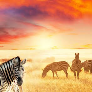 Kiliclimb Africa Safaris