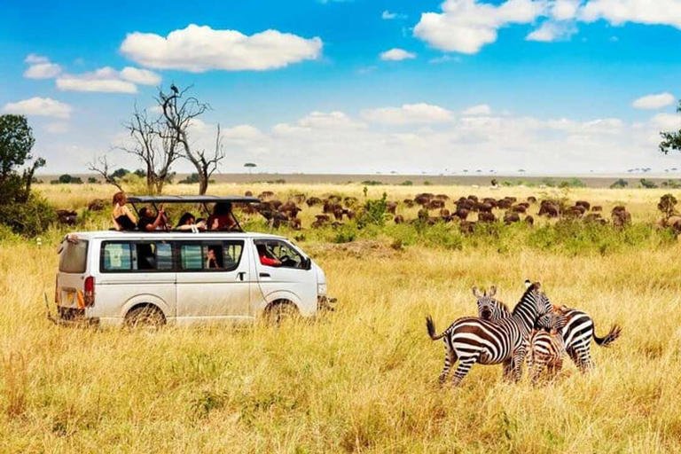 Johnbow Tours and Travel Ltd