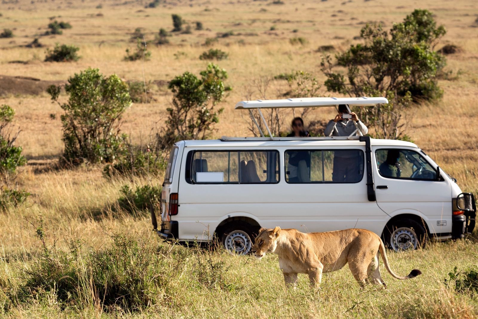Johnbow Tours and Travel Ltd