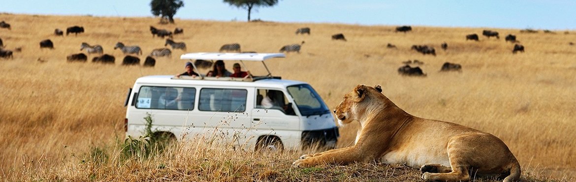 Johnbow Tours and Travel Ltd