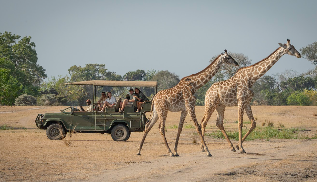 3 Day Flying Luxury Safari Zanzibar to Nyerere National