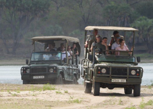 Safari Vendors