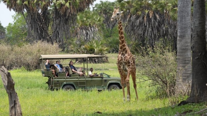 Uwanda Tours And Safaris