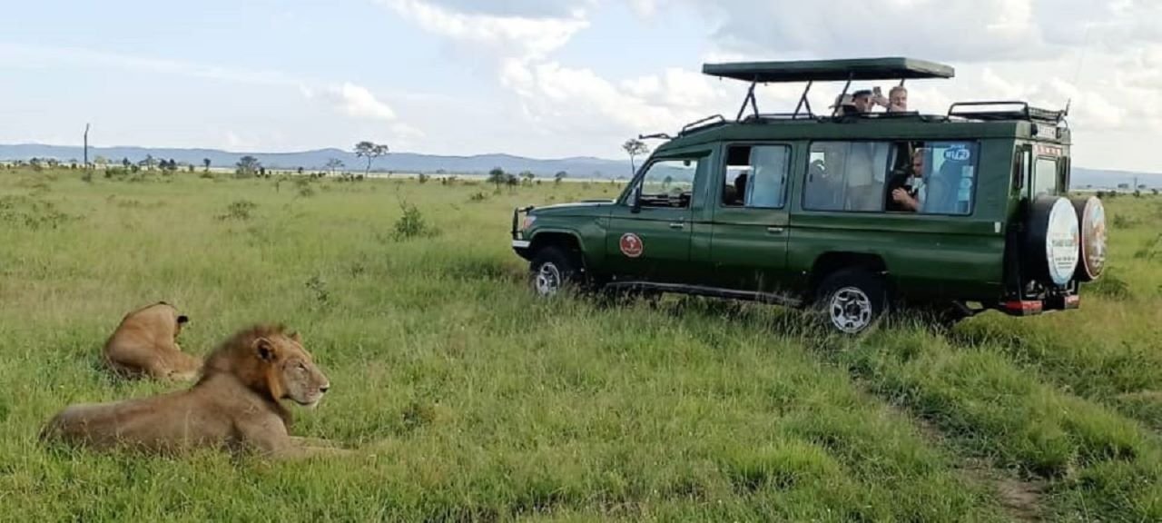 African Pangolin Safaris