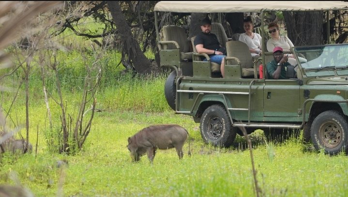 Uwanda Tours And Safaris