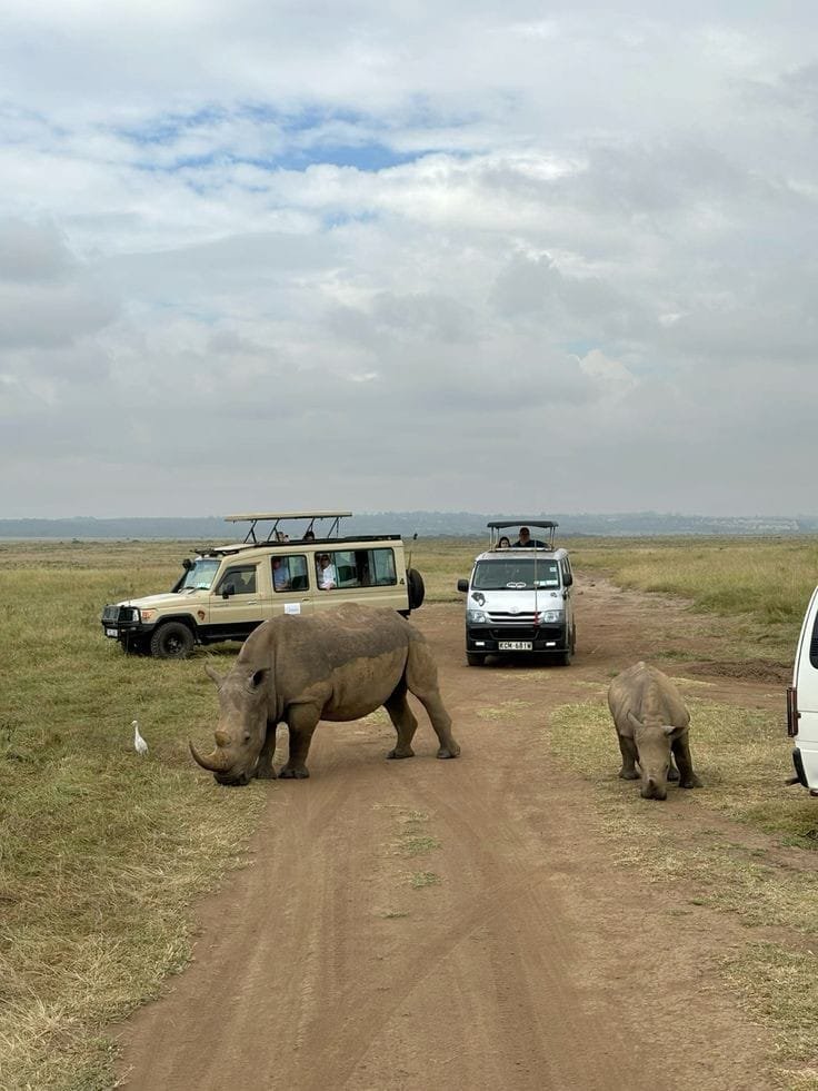 4 Days Masai Mara & Hells Shared Jeep Safari 