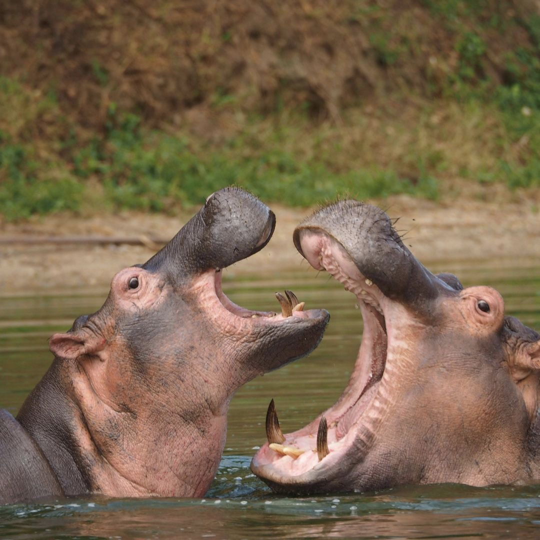 Smile With Us Tours In Africa