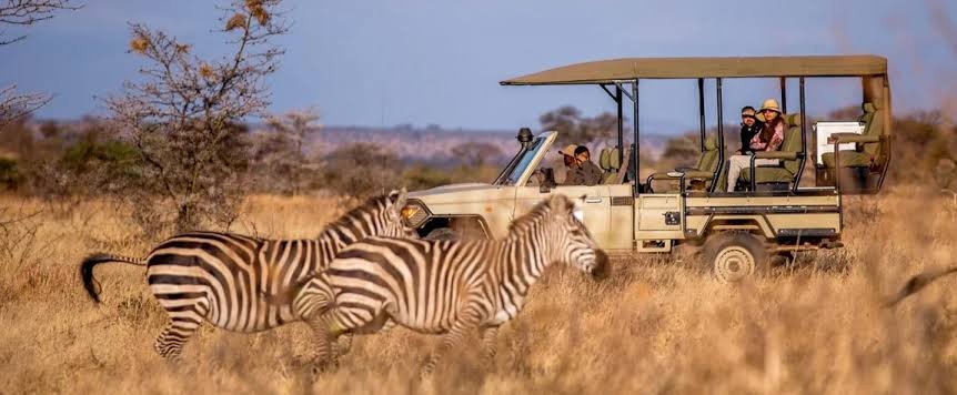 Safari Vendors