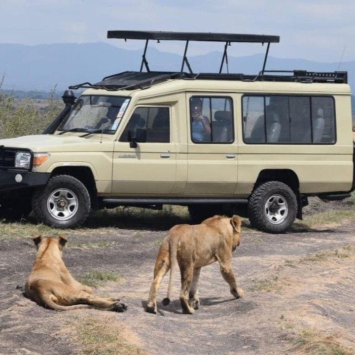 Safari Vendors