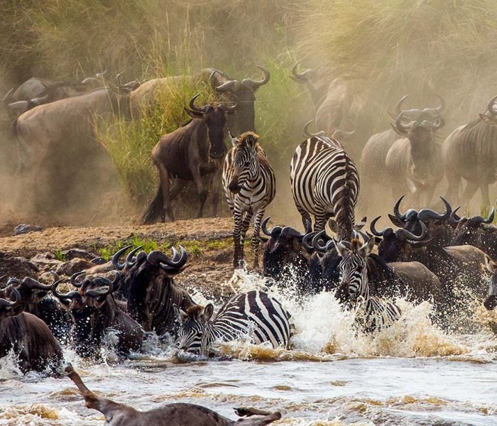 Kiliclimb Africa Safaris