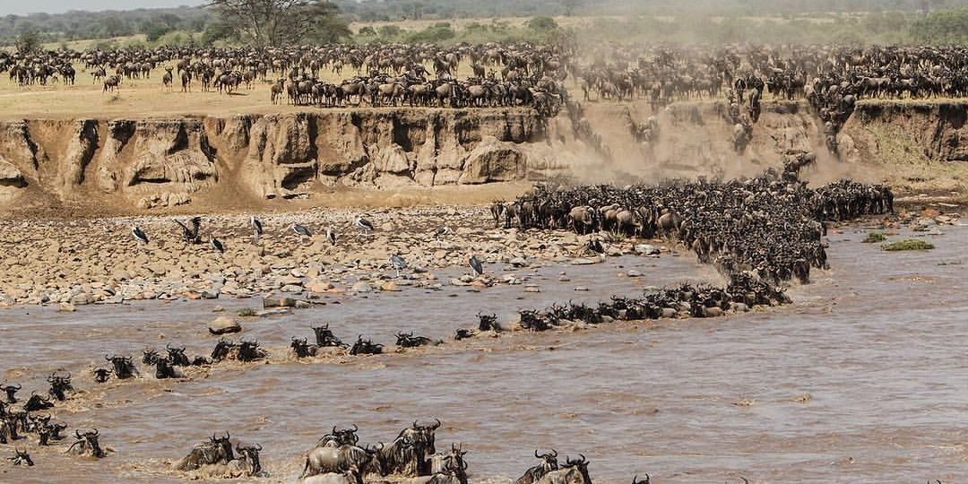 Kiliclimb Africa Safaris