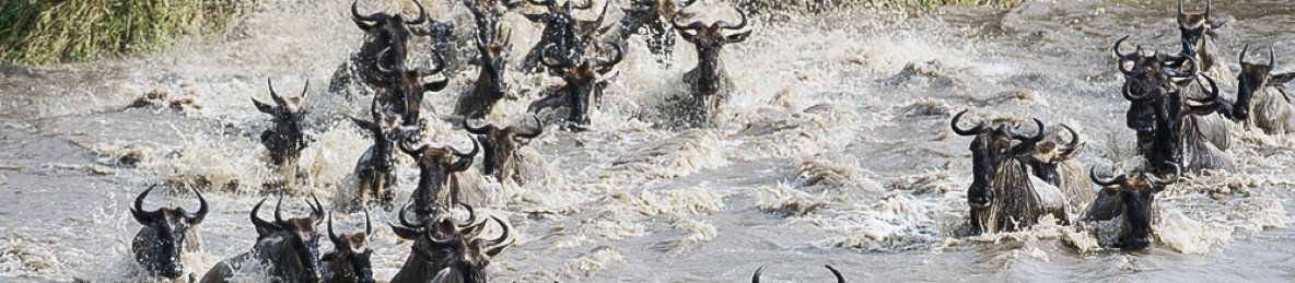 Kiliclimb Africa Safaris