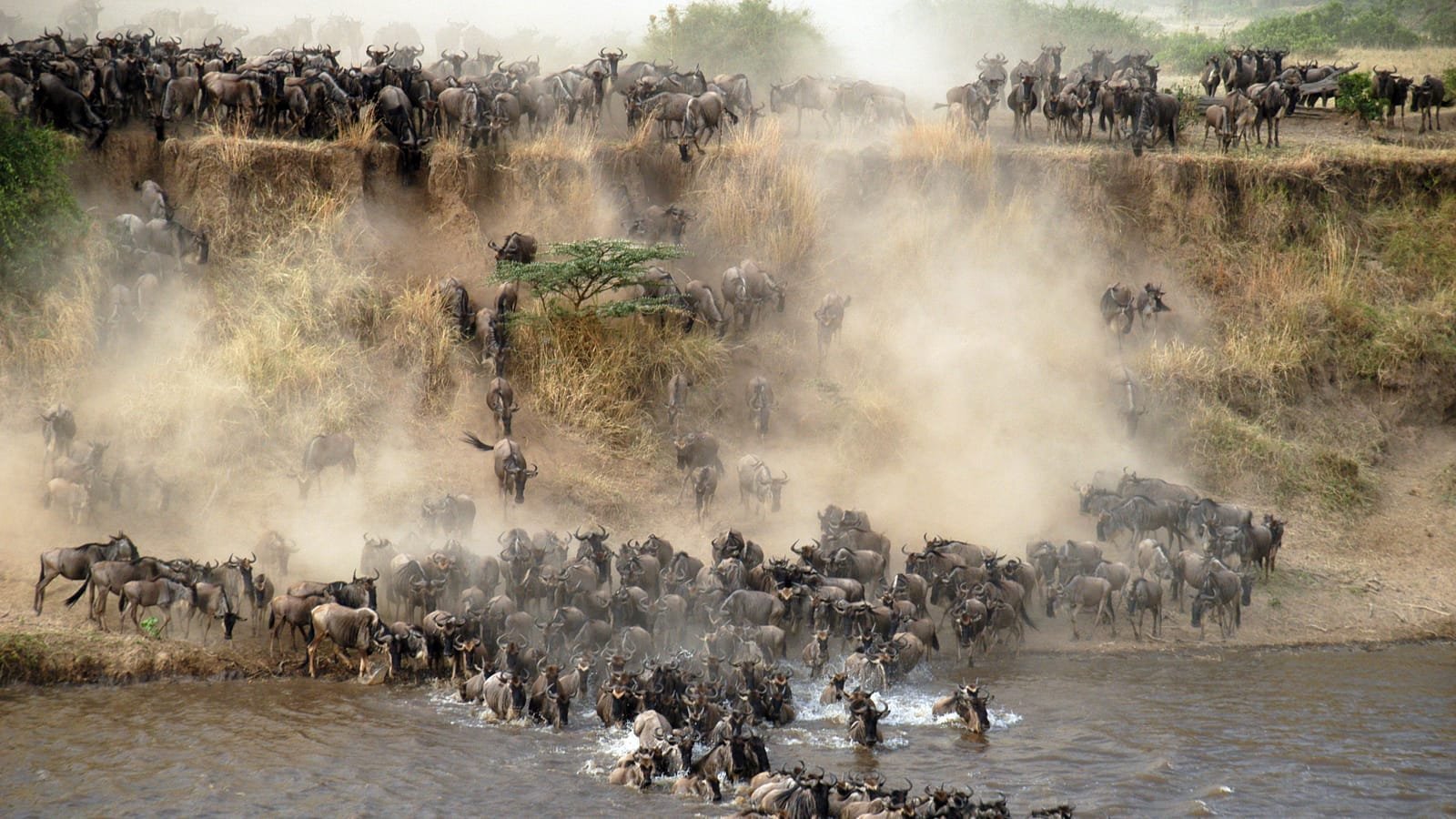 kimgoni Tanzania safaris