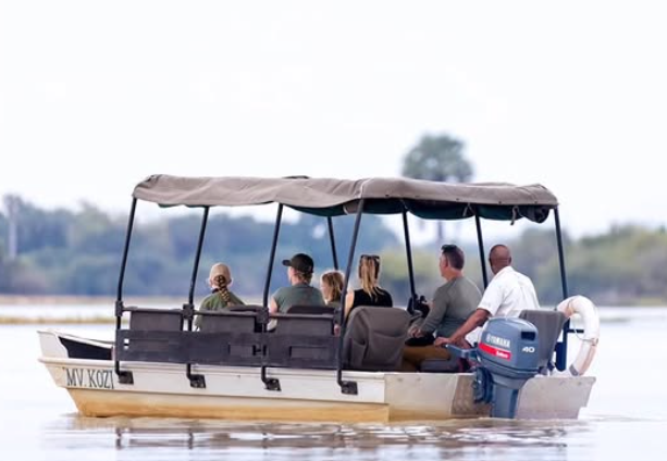 Safari Vendors