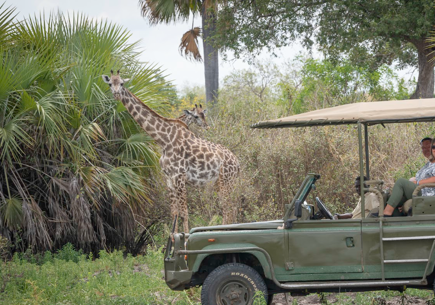 Day Trip Safari Zanzibar to Nyerere NP (Selous GR)