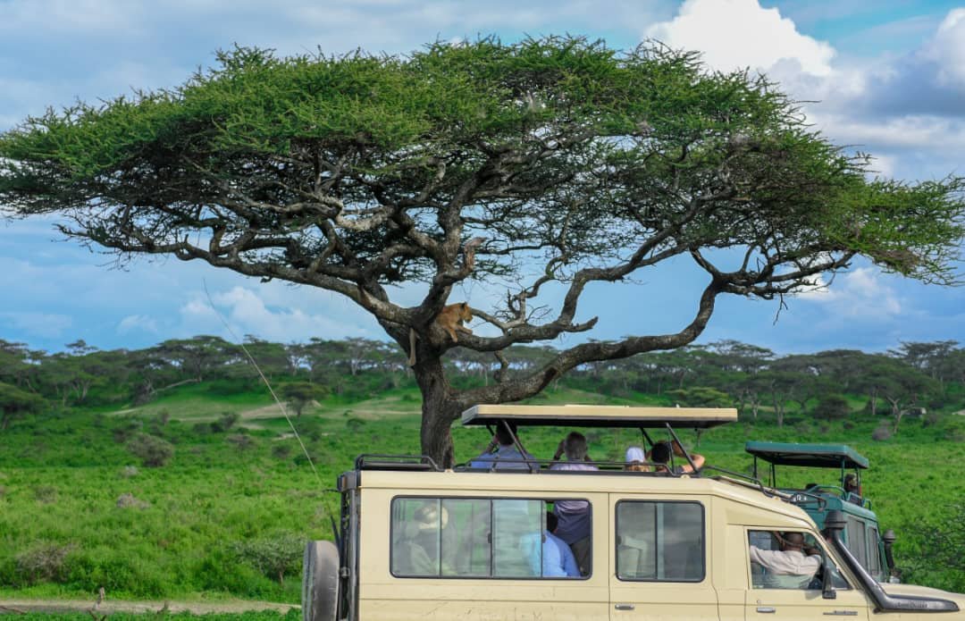 Kiliclimb Africa Safaris