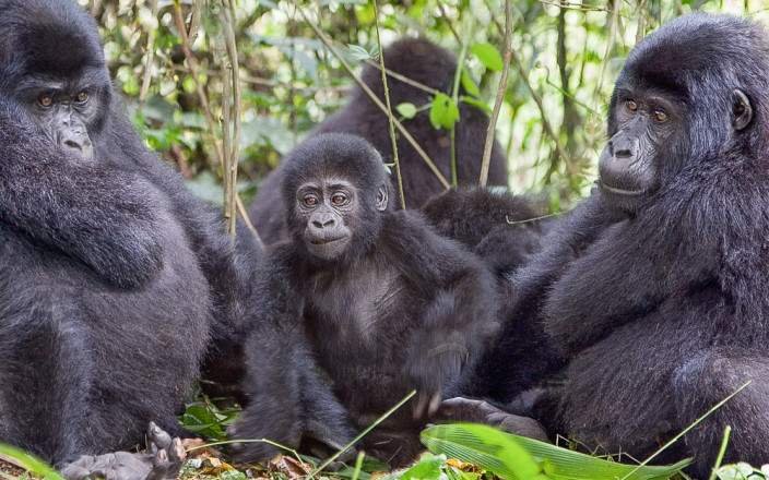 Naleyo Tours and Travels