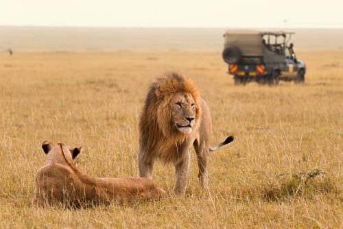 Johnbow Tours and Travel Ltd